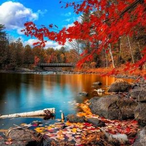 Meet your Posher, Sandy